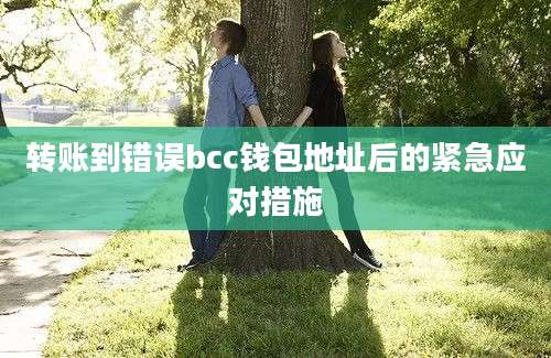 转账到错误bcc钱包地址后的紧急应对措施