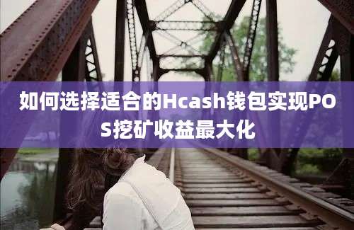 如何选择适合的Hcash钱包实现POS挖矿收益最大化