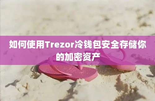 如何使用Trezor冷钱包安全存储你的加密资产