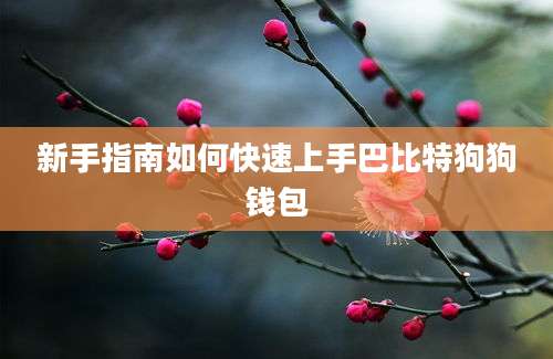 新手指南如何快速上手巴比特狗狗钱包