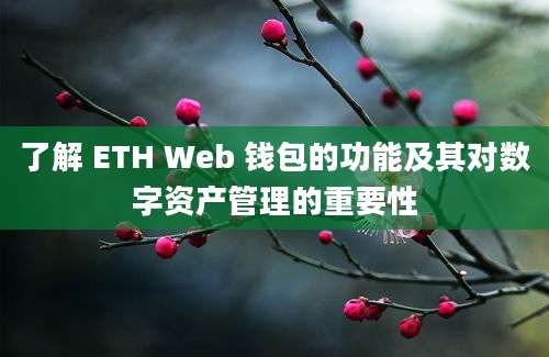 了解 ETH Web 钱包的功能及其对数字资产管理的重要性