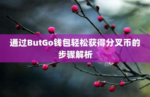 通过ButGo钱包轻松获得分叉币的步骤解析