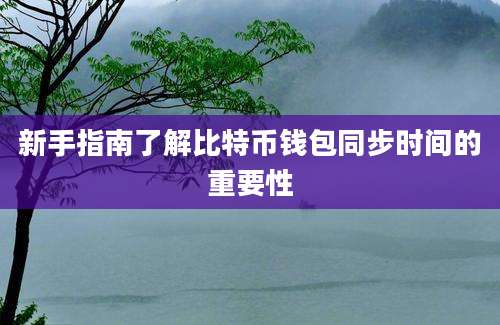 新手指南了解比特币钱包同步时间的重要性