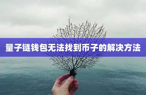 量子链钱包无法找到币子的解决方法