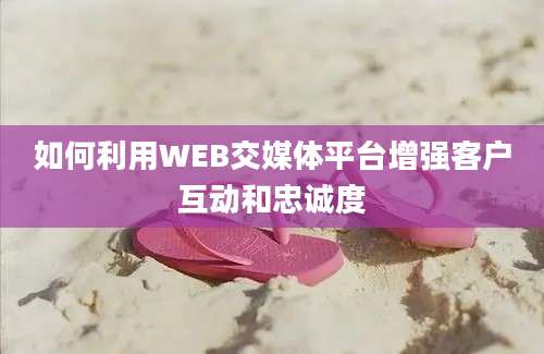 如何利用WEB交媒体平台增强客户互动和忠诚度