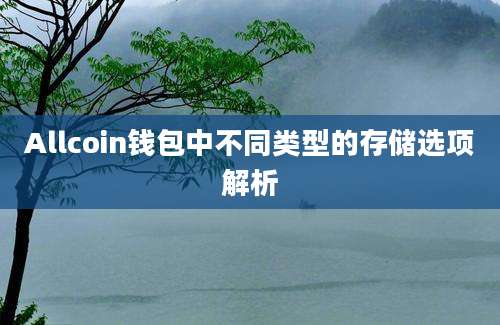 Allcoin钱包中不同类型的存储选项解析