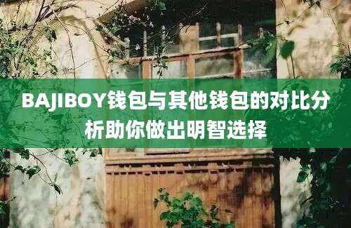 BAJIBOY钱包与其他钱包的对比分析助你做出明智选择