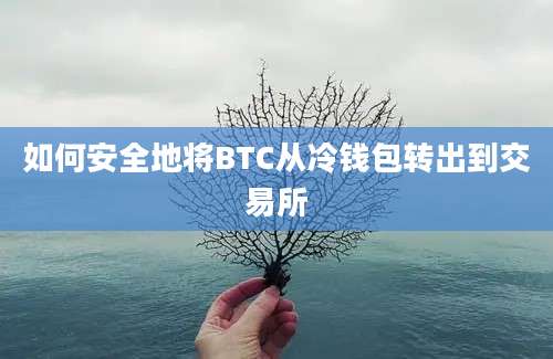 如何安全地将BTC从冷钱包转出到交易所