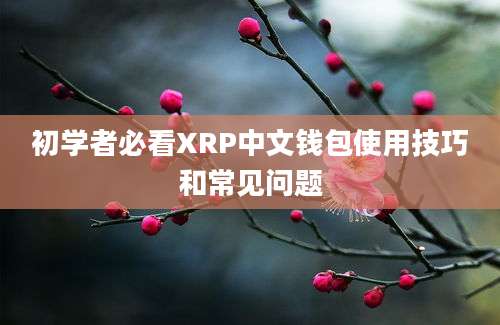 初学者必看XRP中文钱包使用技巧和常见问题