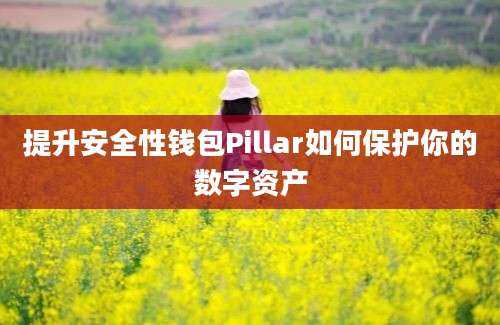 提升安全性钱包Pillar如何保护你的数字资产