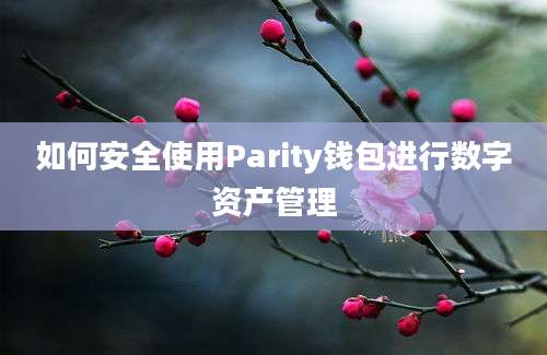 如何安全使用Parity钱包进行数字资产管理