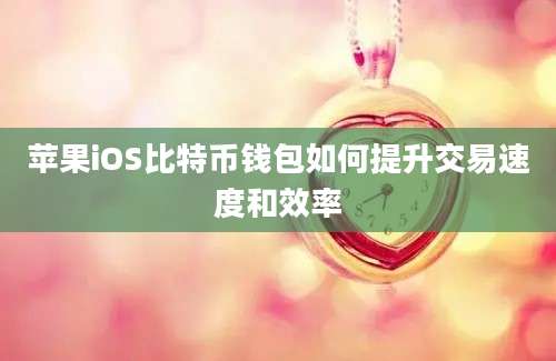 苹果iOS比特币钱包如何提升交易速度和效率