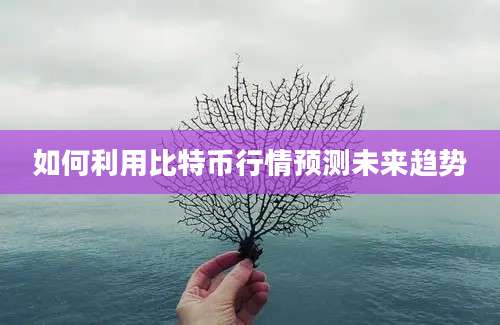 如何利用比特币行情预测未来趋势