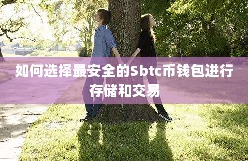 如何选择最安全的Sbtc币钱包进行存储和交易