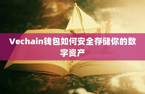 Vechain钱包如何安全存储你的数字资产