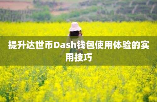 提升达世币Dash钱包使用体验的实用技巧