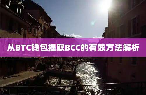 从BTC钱包提取BCC的有效方法解析