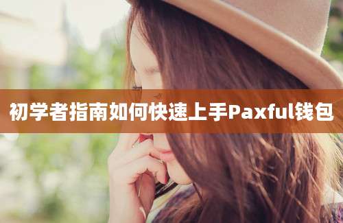 初学者指南如何快速上手Paxful钱包