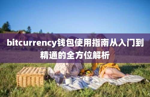 bitcurrency钱包使用指南从入门到精通的全方位解析