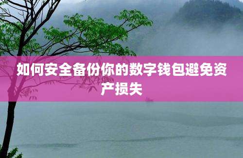 如何安全备份你的数字钱包避免资产损失