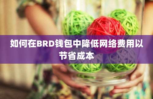 如何在BRD钱包中降低网络费用以节省成本