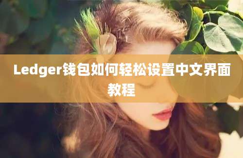 Ledger钱包如何轻松设置中文界面教程