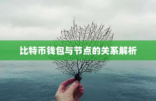 比特币钱包与节点的关系解析