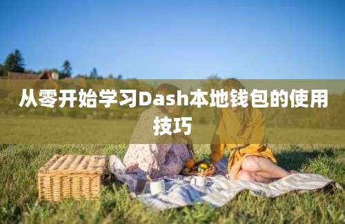 从零开始学习Dash本地钱包的使用技巧