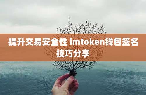 提升交易安全性 imtoken钱包签名技巧分享