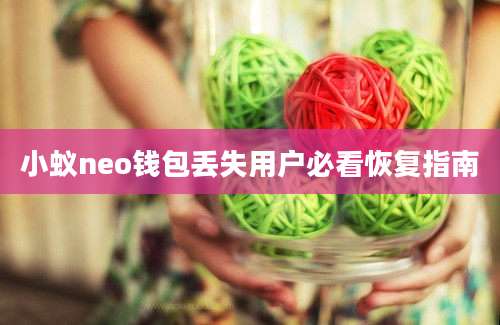 小蚁neo钱包丢失用户必看恢复指南