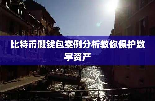 比特币假钱包案例分析教你保护数字资产