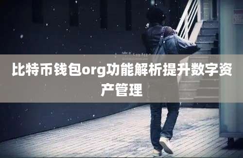 比特币钱包org功能解析提升数字资产管理