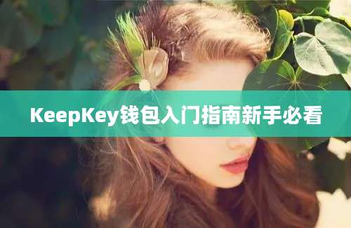 KeepKey钱包入门指南新手必看