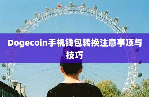 Dogecoin手机钱包转换注意事项与技巧