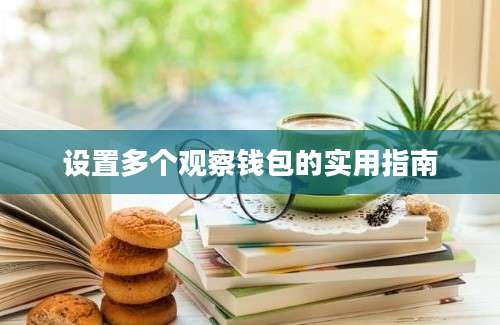 设置多个观察钱包的实用指南