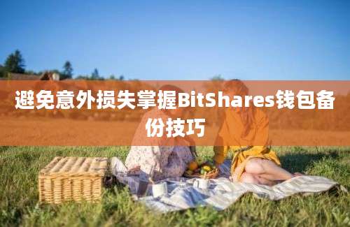 避免意外损失掌握BitShares钱包备份技巧