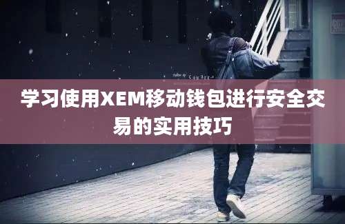 学习使用XEM移动钱包进行安全交易的实用技巧