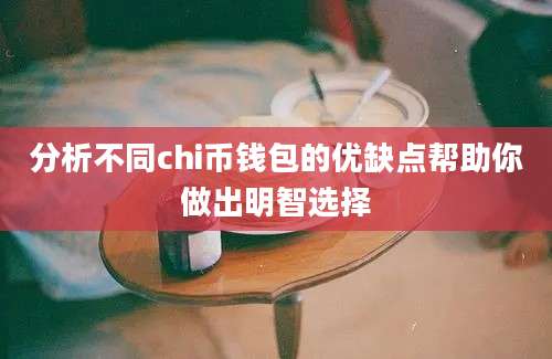 分析不同chi币钱包的优缺点帮助你做出明智选择