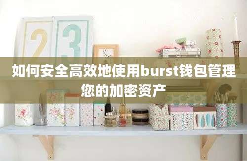 如何安全高效地使用burst钱包管理您的加密资产