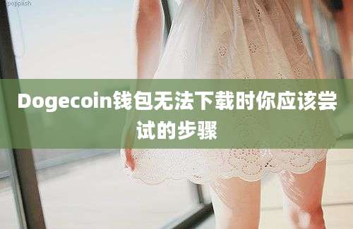 Dogecoin钱包无法下载时你应该尝试的步骤