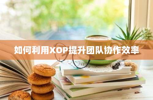 如何利用XOP提升团队协作效率