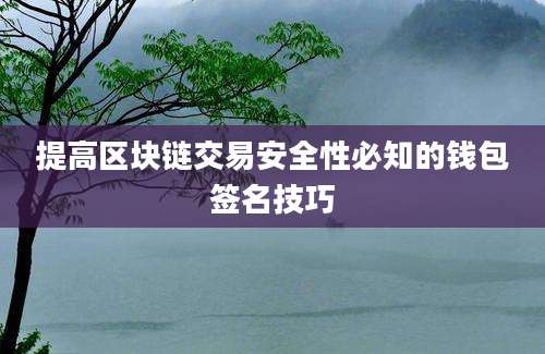 提高区块链交易安全性必知的钱包签名技巧