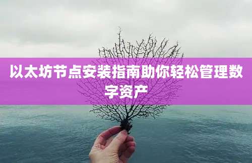 以太坊节点安装指南助你轻松管理数字资产