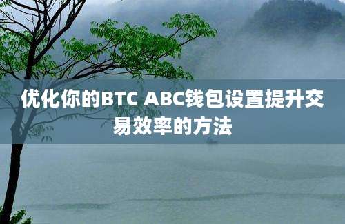 优化你的BTC ABC钱包设置提升交易效率的方法