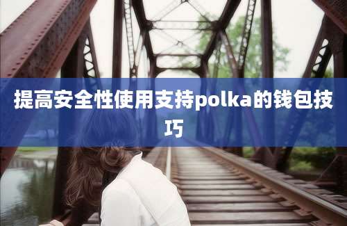 提高安全性使用支持polka的钱包技巧