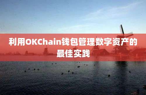 利用OKChain钱包管理数字资产的最佳实践