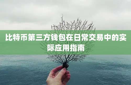 比特币第三方钱包在日常交易中的实际应用指南