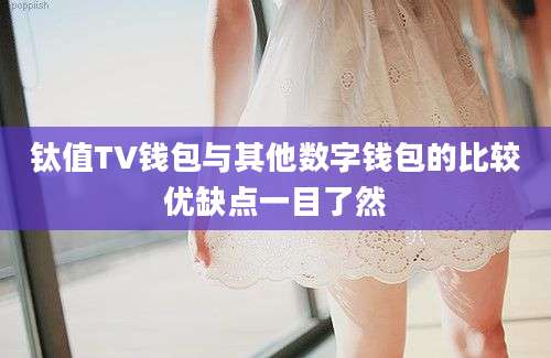 钛值TV钱包与其他数字钱包的比较优缺点一目了然