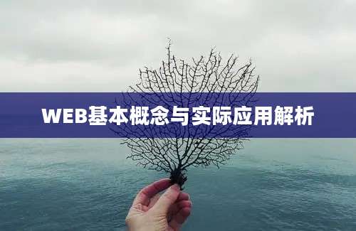 WEB基本概念与实际应用解析