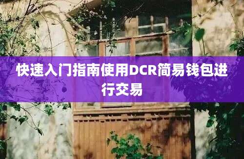 快速入门指南使用DCR简易钱包进行交易